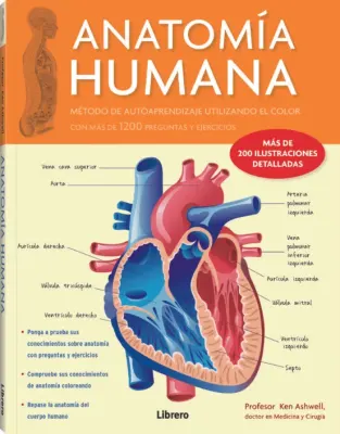 ANATOMIA HUMANA1