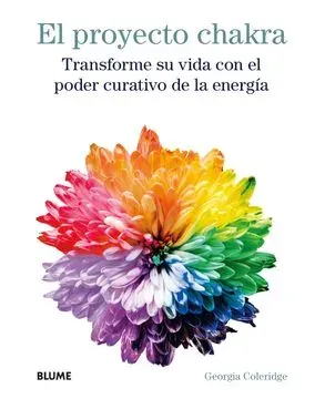 EL PROYECTO CHAKRA1