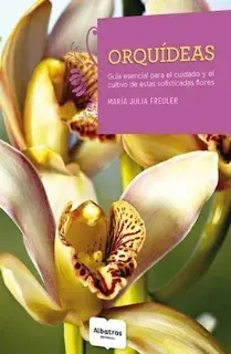 ORQUIDEAS1