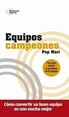 EQUIPOS CAMPEONES1