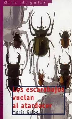 LOS ESCARABAJOS VUELAN AL ATARDECER1