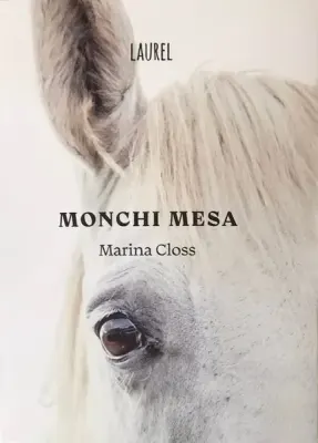 MONCHI MESA1