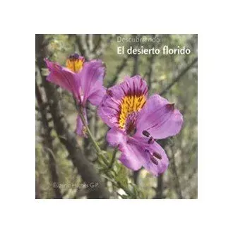 DESCUBRIENDO EL DESIERTO FLORIDO1