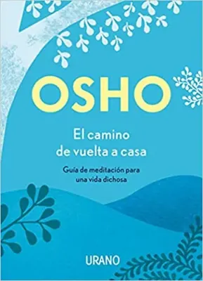 EL CAMINO DE VUELTA A CASA1