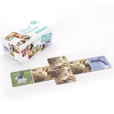 DOMINO DE ANIMALES1