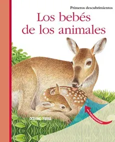 LOS BEBES DE LOS ANIMALES1