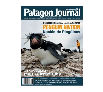 REVISTA 20 PATAGON JOURNAL1