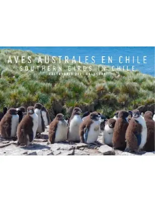 CALENDARIO 2025 AVES AUSTRALES EN CHILE1