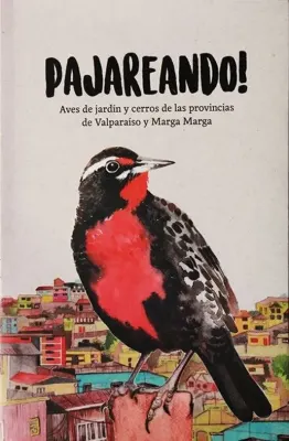 PAJAREANDO1