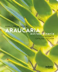 ARAUCARIA EXTRAORDINARIA1