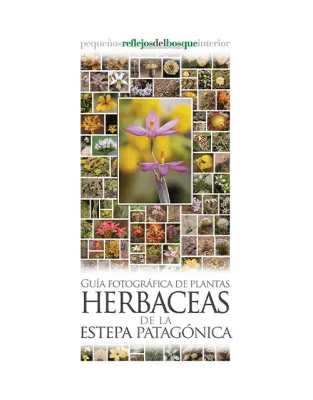 GUIA DESPLEGABLE - PLANTAS HERBACEAS DE LA ESTEPA PATAGONICA1