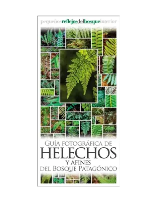 GUIA DESPLEGABLE - HELECHOS Y AFINES DEL BOSQUE PATAGONICO1