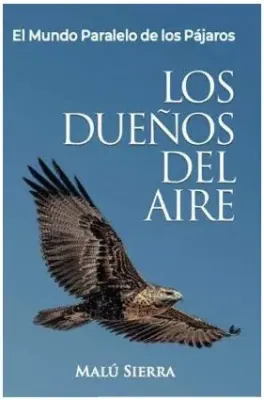LOS DUEÑOS DEL AIRE1