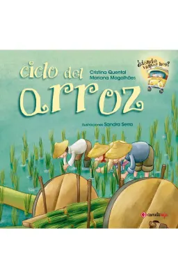 CICLO DEL ARROZ1