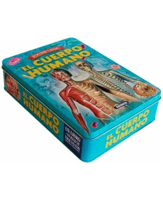 DESCUBRO Y JUEGO - EL CUERPO HUMANO1