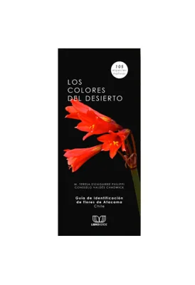 LOS COLORES DEL DESIERTO1