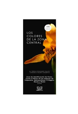 LOS COLORES DE LA ZONA CENTRAL1