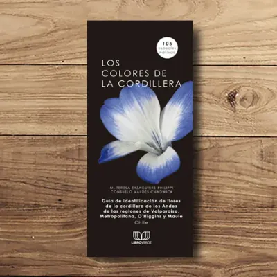 LOS COLORES DE LA CORDILLERA1