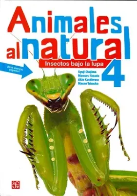 ANIMALES AL NATURAL 4 INSECTOS BAJO LA LUPA1