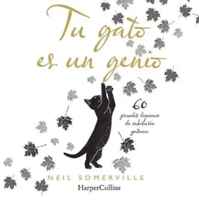 TU GATO ES UN GENIO1