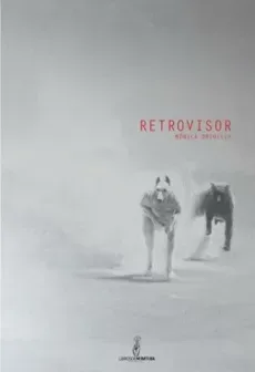RETROVISOR1