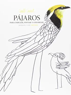 PAJAROS PARA DIBUJAR PINTAR Y COLOREAR1