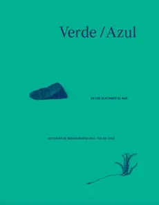 VERDE AZUL DE LOS GLACIARES AL MAR1