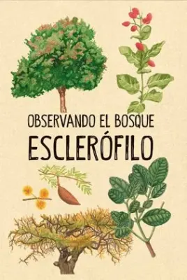 OBSERVANDO EL BOSQUE ESCLEROFILO1