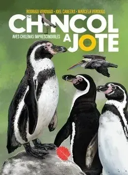 DE CHINCOL A JOTE AVES CHILENAS IMPRESCINDIBLES1