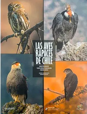 LAS AVES RAPACES DE CHILE1