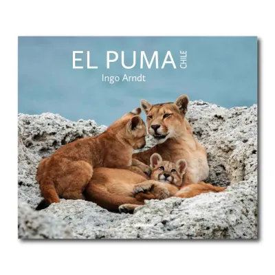 EL PUMA1