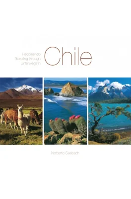 RECORRIENDO CHILE TRAVELLING1