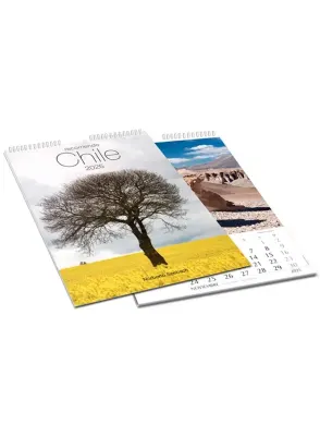 CALENDARIO 2025 RECORRIENDO CHILE MURAL1