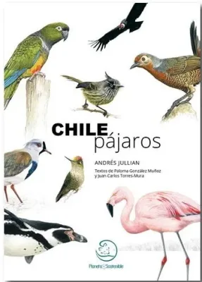 CHILE PAJAROS1