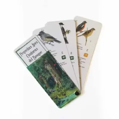 PANTONERA PEQUEÑAS AVES CANTORAS DEL BOSQUE1