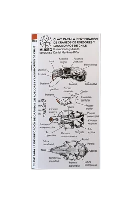 GUIA DESPLEGABLE IDENTIFICACION DE CRANEOS DE ROEDORES Y LAGOMORFOS DE CHILE1