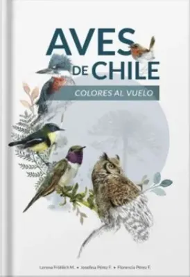 AVES DE CHILE COLORES AL VUELO1