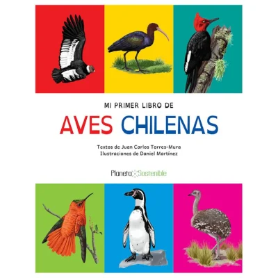 MI PRIMER LIBRO DE AVES CHILENAS1