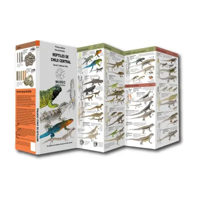 REPTILES DE CHILE CENTRAL DESPLEGABLE1