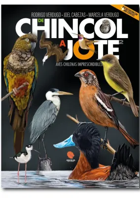 DE CHINCOL A JOTE 21