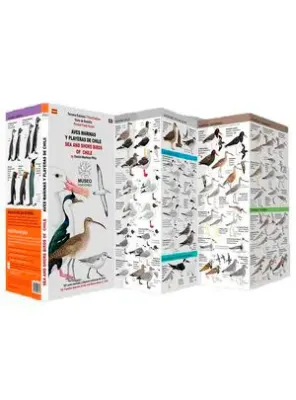 GUIA DESPLEGABLE AVES MARINAS Y PLAYERAS DE CHILE1