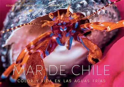 MAR DE CHILE1