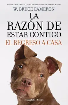 LA RAZON DE ESTAR CONTIGO EL REGRESO A CASA1