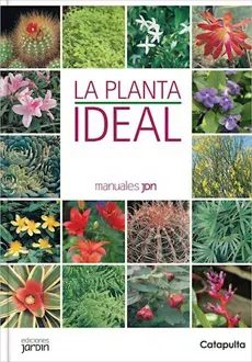 LA PLANTA IDEAL1