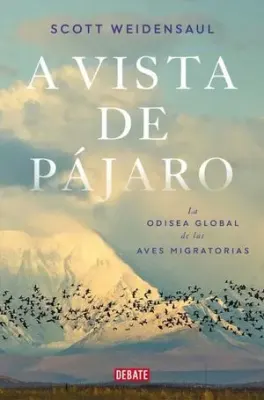 A VISTA DE PAJARO1