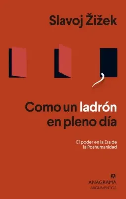 COMO UN LADRON EN PLANO DIA1