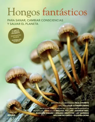 HONGOS FANTASTICOS1