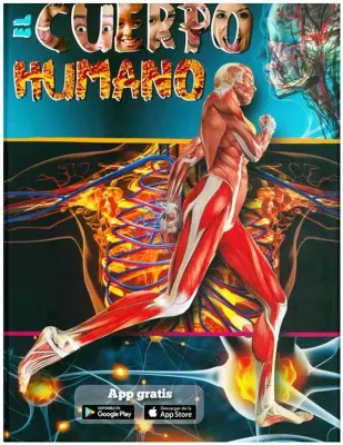 EL CUERPO HUMANO1