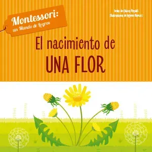 EL NACIMIENTO DE UNA FLOR1