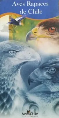 AVES RAPACES DE CHILE CATALOGO1
